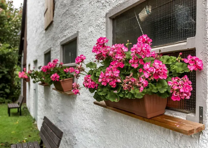 Feriehus Pure Eifel *